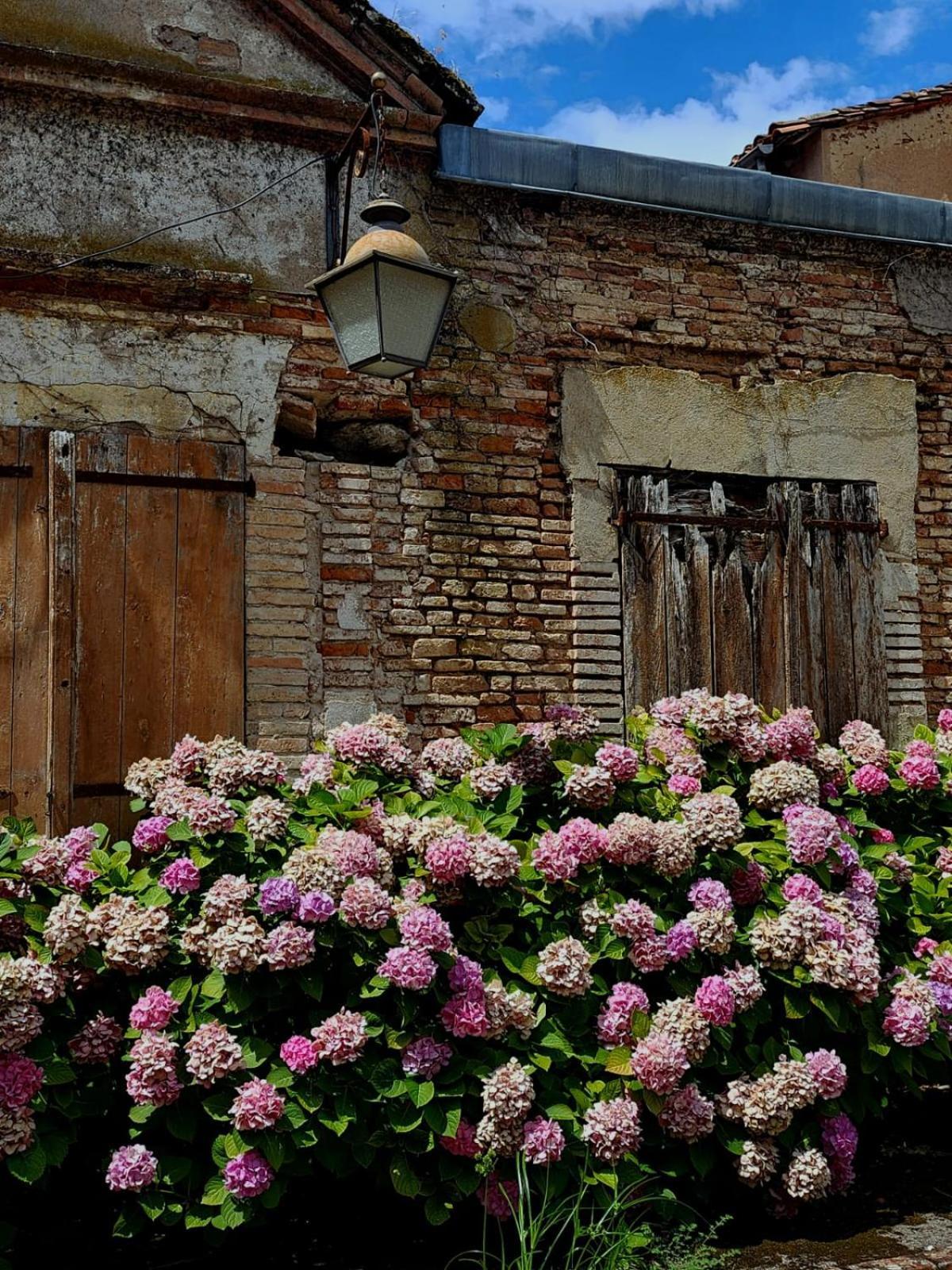 La Cour Verte Gaillac Exteriör bild